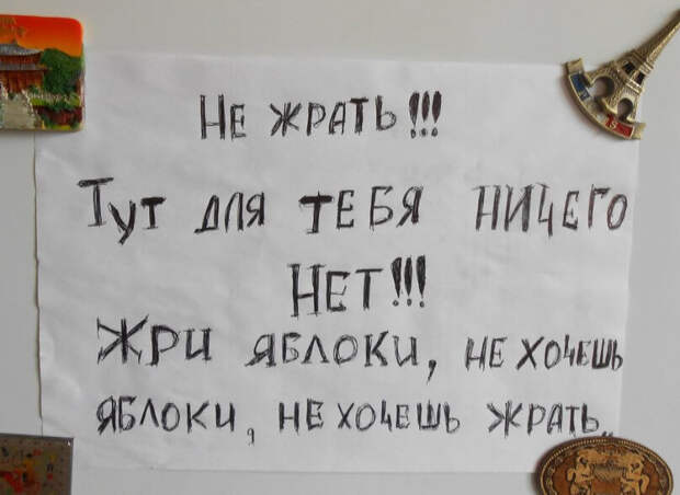 Круто, когда домашние с юмором Круто, когда домашние с юмором