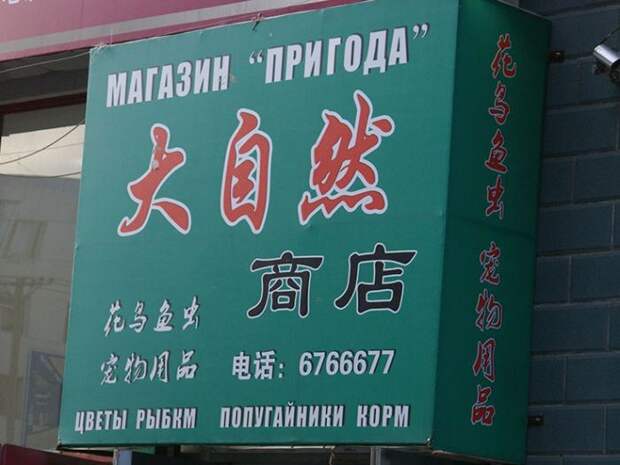 китайские вывески на русском языке