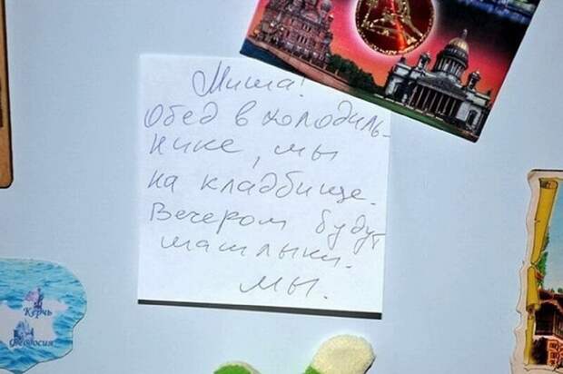 Круто, когда домашние с юмором Круто, когда домашние с юмором