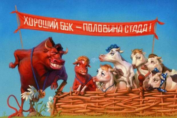 КАРИКАТУРЫ