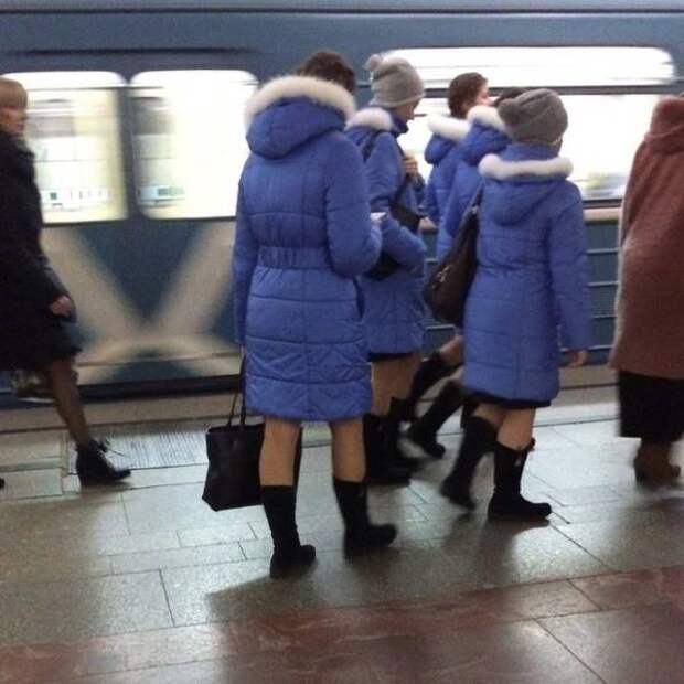Прикольные сходства и совпадения