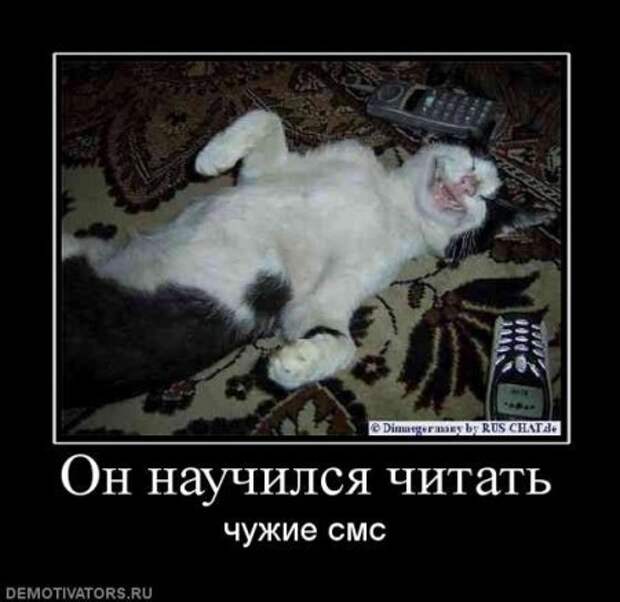 весёлые демки
