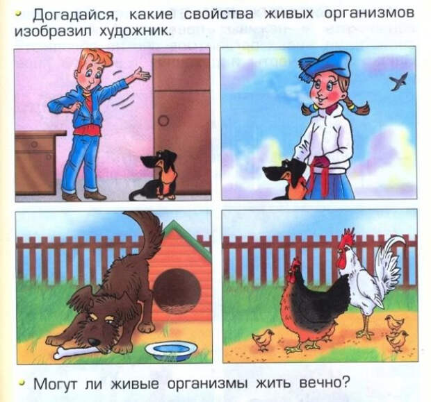 идиотские учебники 