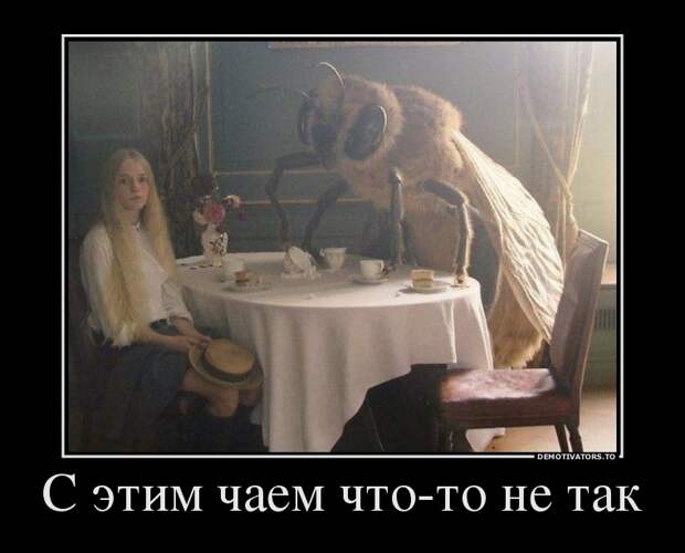 Демотиваторы демотиваторы, прикол, смех, юмор
