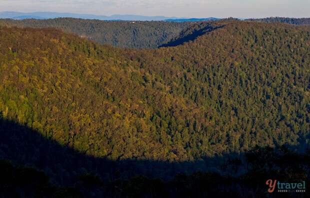 Exploring the Binna Burra Mountains in Lamington National Park, Gold Coast Hinterland, Australia