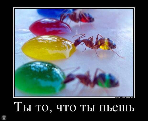 Настраивайся на положительные эмоции! 19