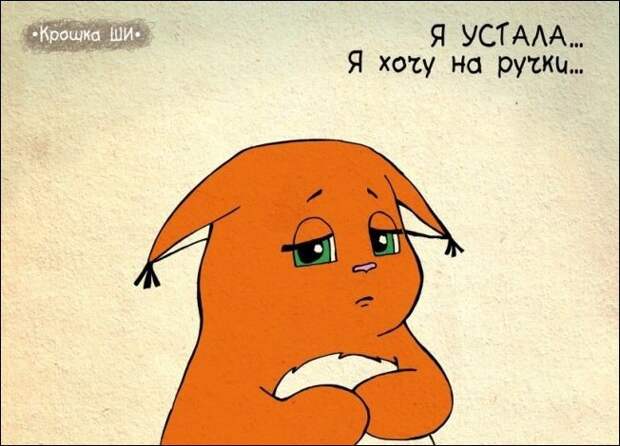 Девичья правда от белки Ши Девичья правда от белки Ши белка, рисунки