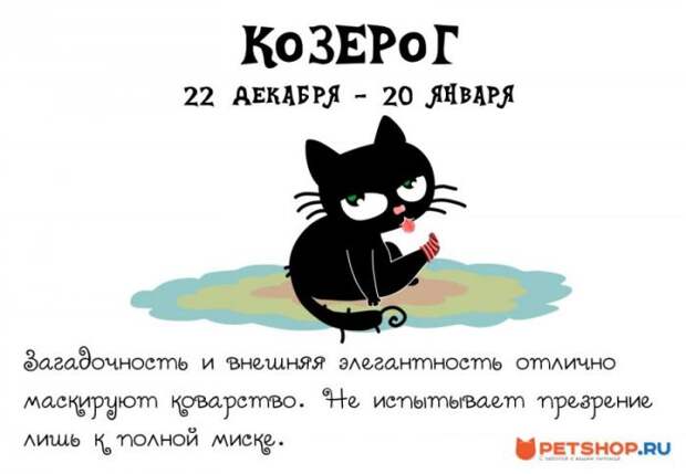 Котячий гороскоп (12 фото) Котячий гороскоп (12 фото)