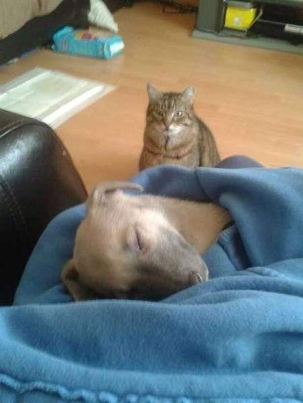 Супермомент