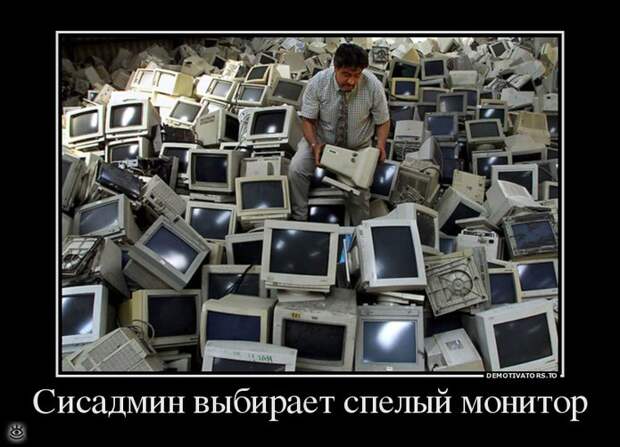 Шёл третий день масленицы... 15