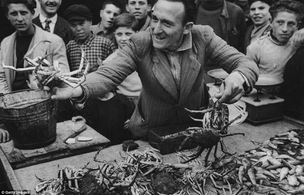 Италия 1950-х