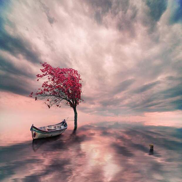 лодка на воде