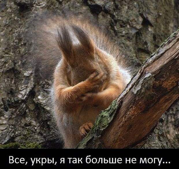 172899_900.jpg