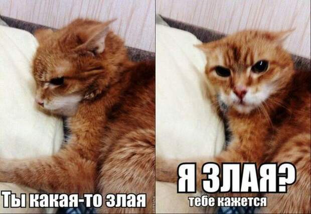 12 женских косяков девушки, косяки, поведение