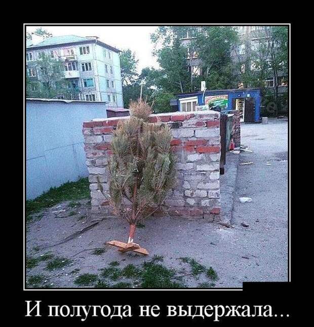 Демотиваторы (30 фото) Демотиваторы (30 фото)