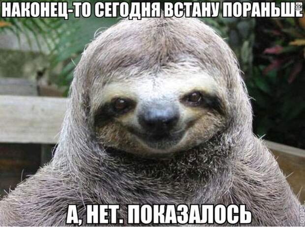 Позитивные фотки 11