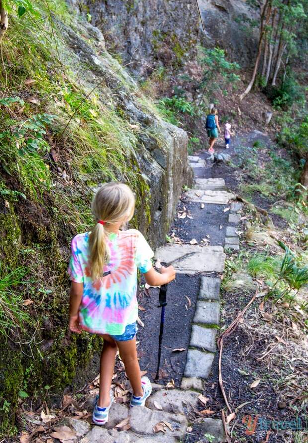 Exploring the Binna Burra Mountains in Lamington National Park, Gold Coast Hinterland, Australia