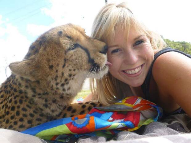 Девушка, подружившаяся с гепардом гепард, девушка, дружба