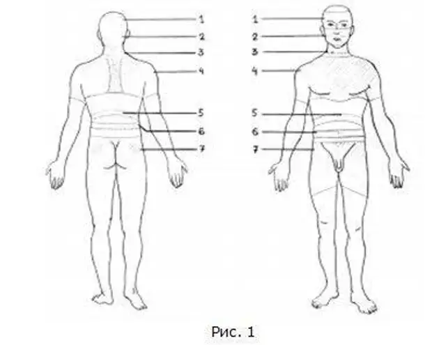 Карта тела человека