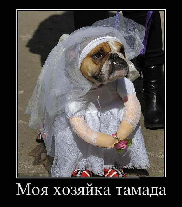 Демотиваторы (30 фото)