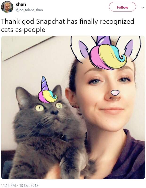 Кошачьи фильтры Snapchat