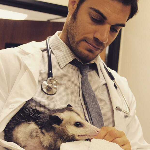 Hottest Veterinarian