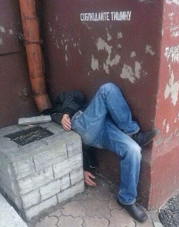 Приколы из социальных сетей