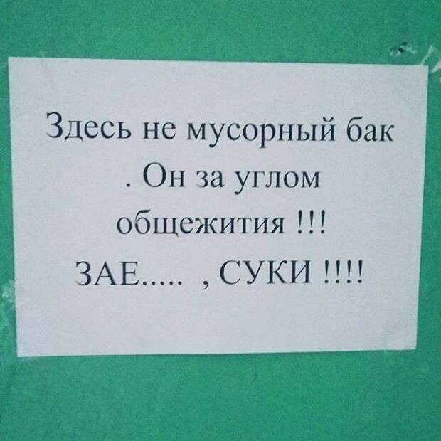 Шедевральные подъездные объявления