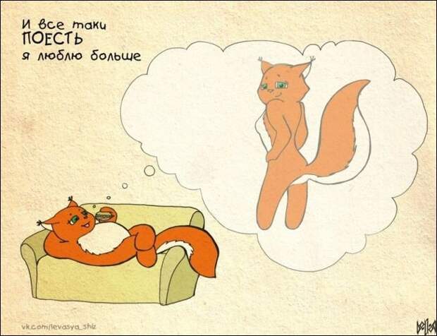 Девичья правда от белки Ши белка, рисунки