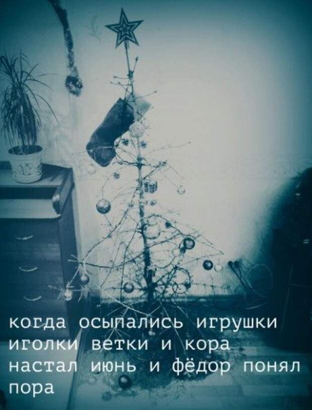 Приколы и позитив
