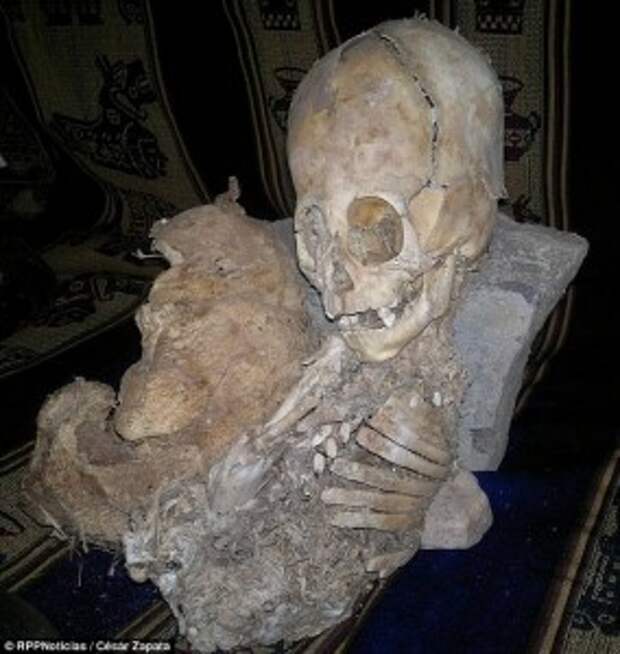skeleton-8
