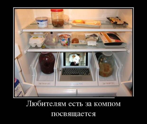 Демотиваторы демотиваторы, прикол, юмор