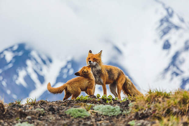 Лучшие фотографии августа 2015 от National Geographic