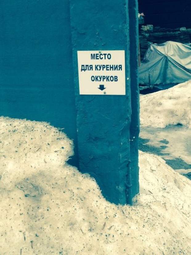 Фото приколы дома в тепле.
