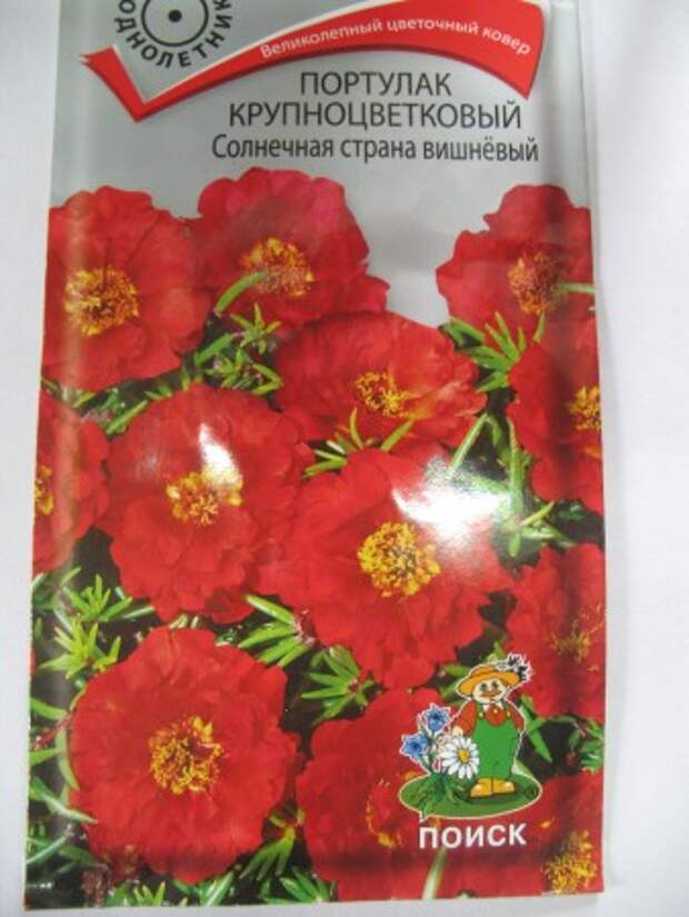 Портулак (посев семян и рассада) Портулак (посев семян и рассада)