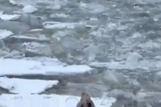 В Петербурге женщина водила малолетнего сына по колотому льду на Неве