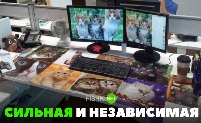 Картинки с надписями для настроения от TainT за 24 октября 2018 картинки с подписями, мэмы, подборка, позитив, юмор