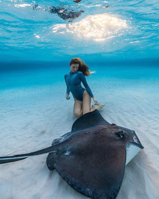 Андре Масгроув (André Musgrove) и его невероятные подводные снимки