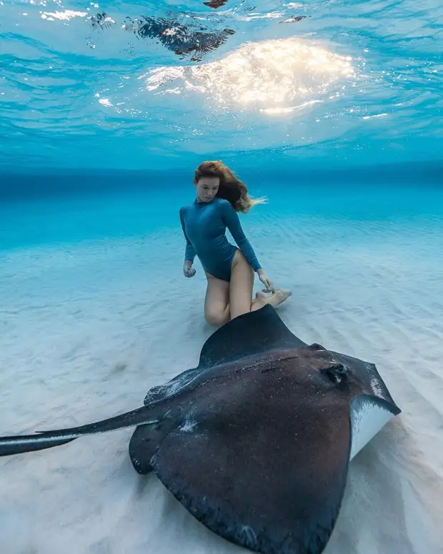 Андре Масгроув (André Musgrove) и его невероятные подводные снимки