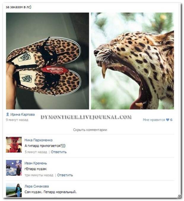 Весёлые надписи из соцсетей 21