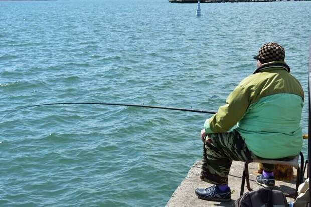 Почему в Азовском море исчез бычок