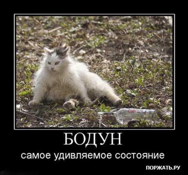 Cмысл демотиваторов - расмешить! (26 фото)