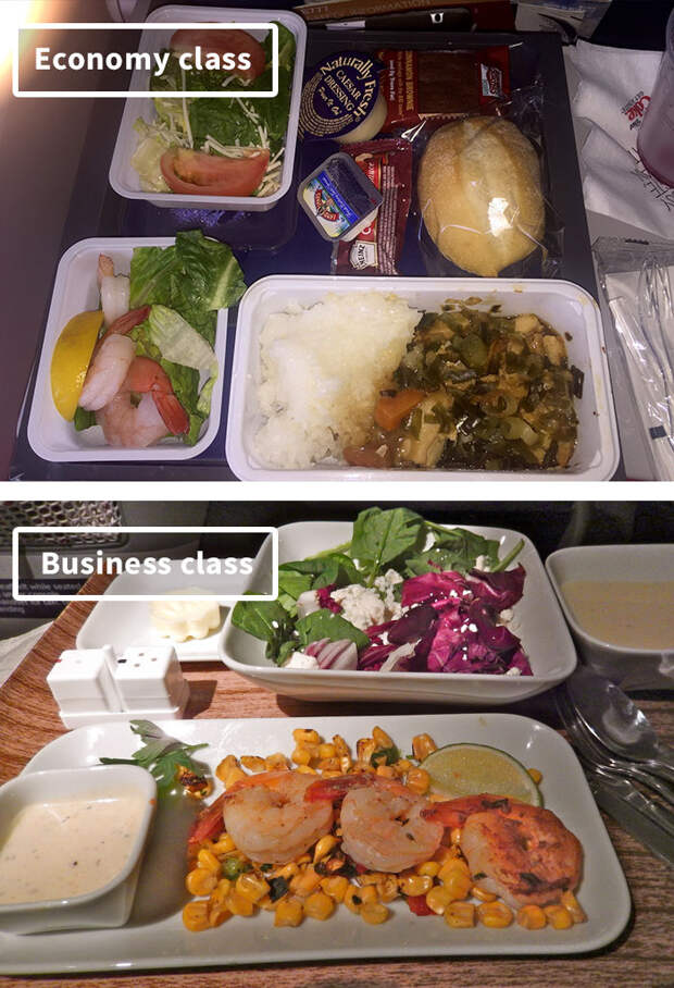 Delta-airline-food-business-vs-economy
