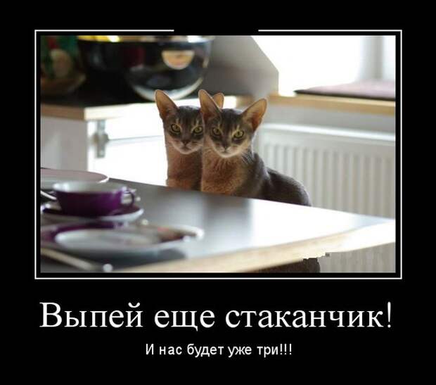 Демотиваторы (30 фото)