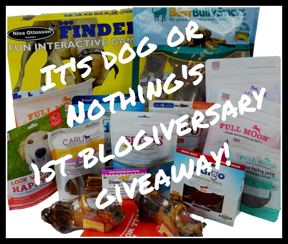 It's Dog or Nothing's first blogiversary