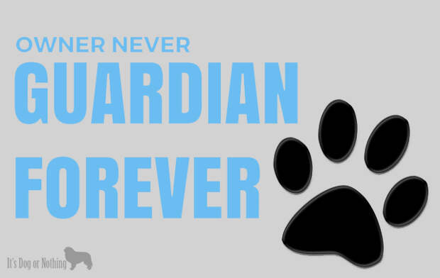 Owner Never, Guardian Forever