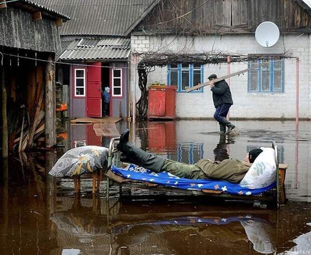 rshachnie foto prikols 32 Внимание: ржачно! (110 фото)