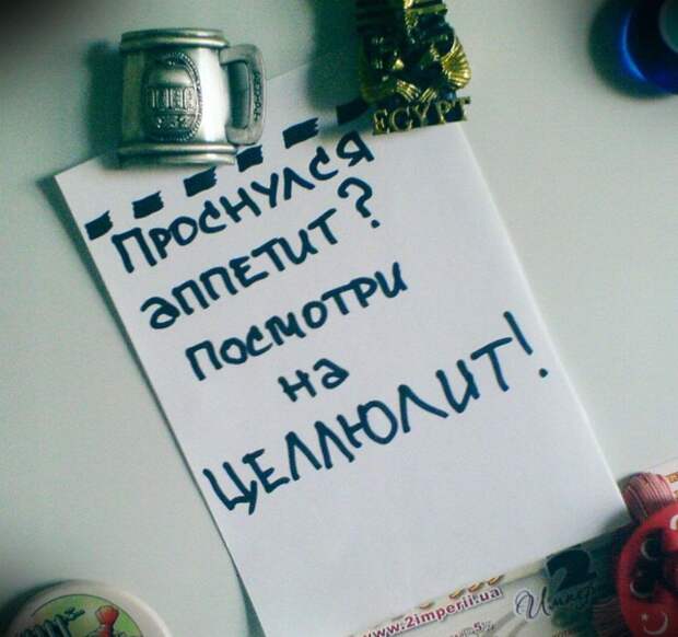 Круто, когда домашние с юмором Круто, когда домашние с юмором
