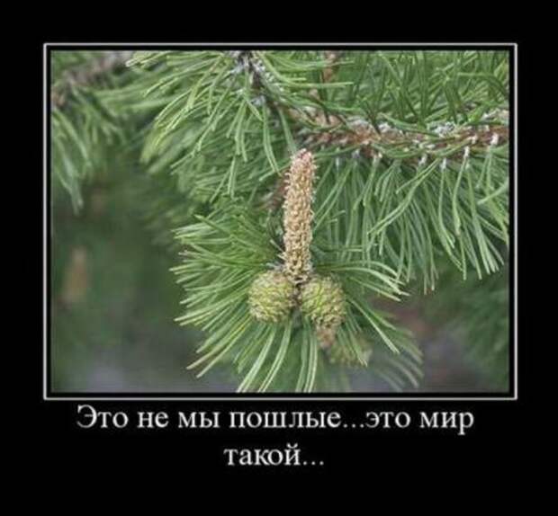 Ржачные демотиваторы и прикольные фотки.