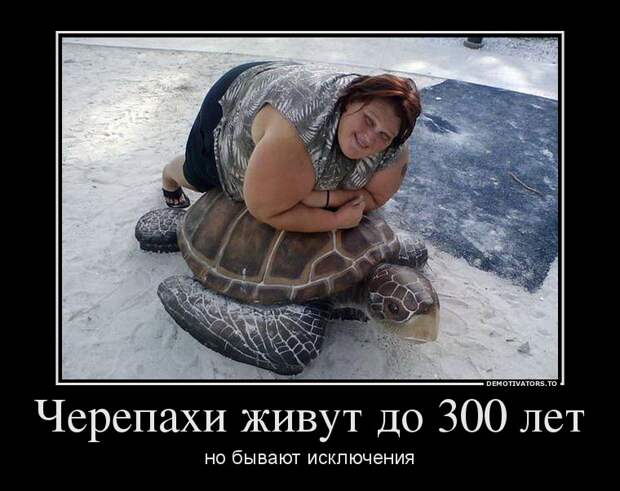 Демотиваторы демотиваторы
